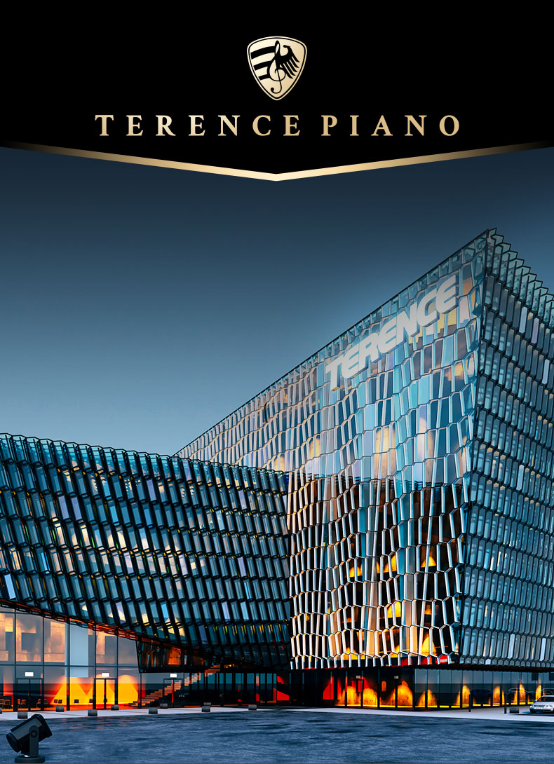 乐器品牌——TERENCE