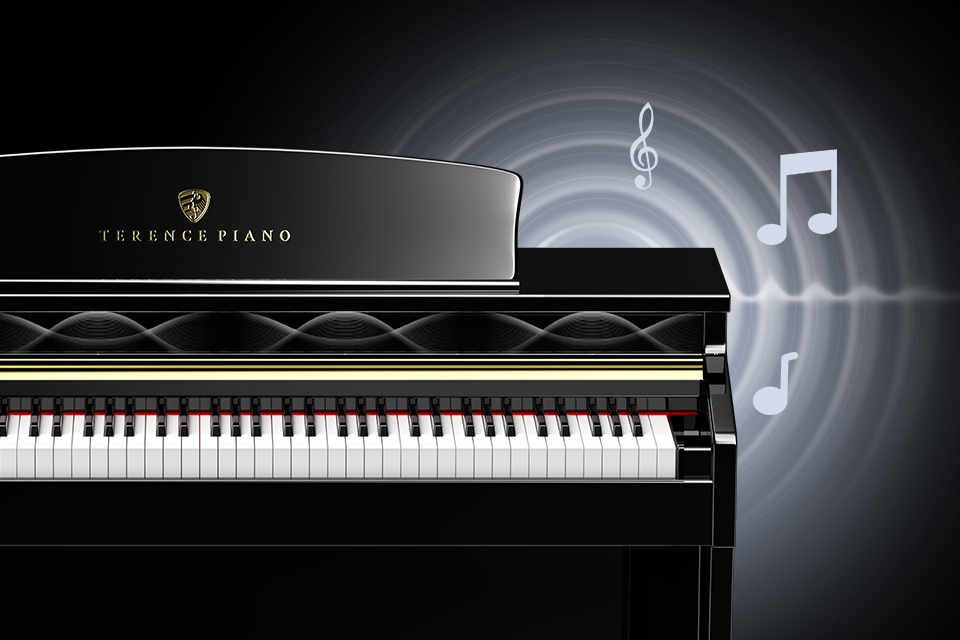 特伦斯全新E50电钢琴和ST8819究竟有那些区别