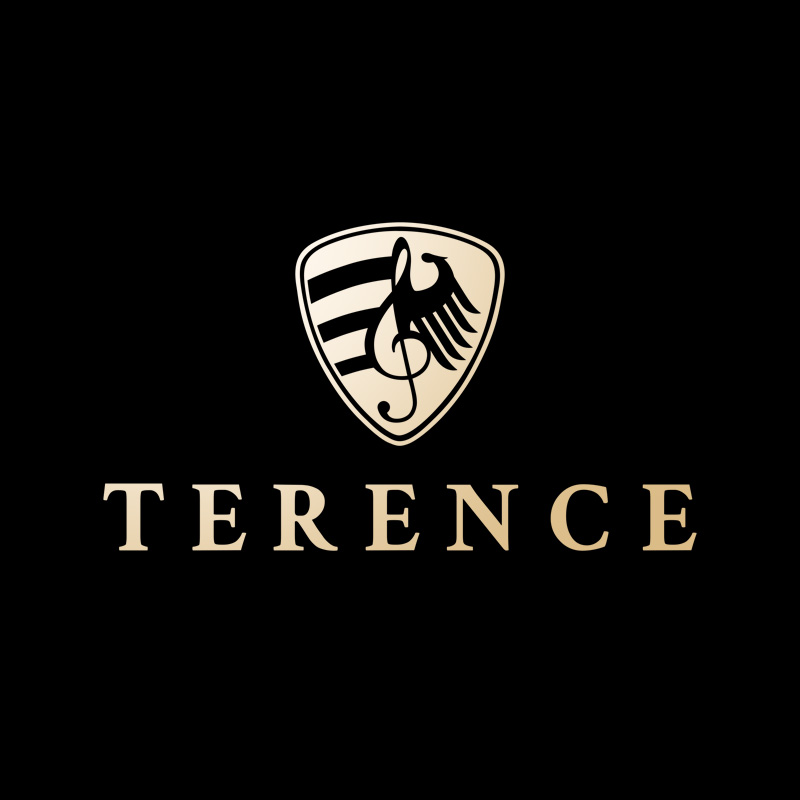 热销榜上的键盘乐器品牌——TERENCE