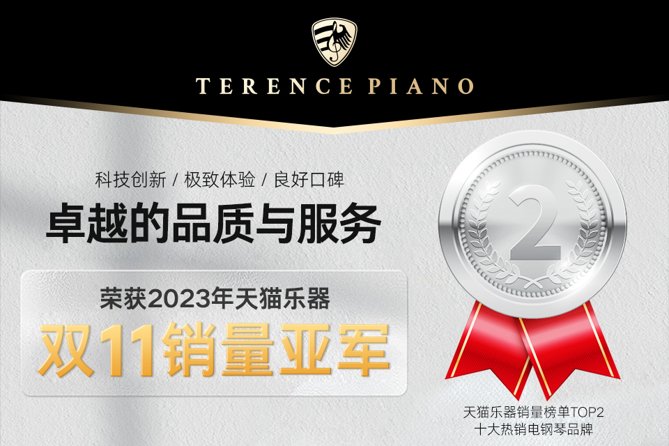 恭喜TERENCE荣获2023年天猫乐器双11销量亚军！